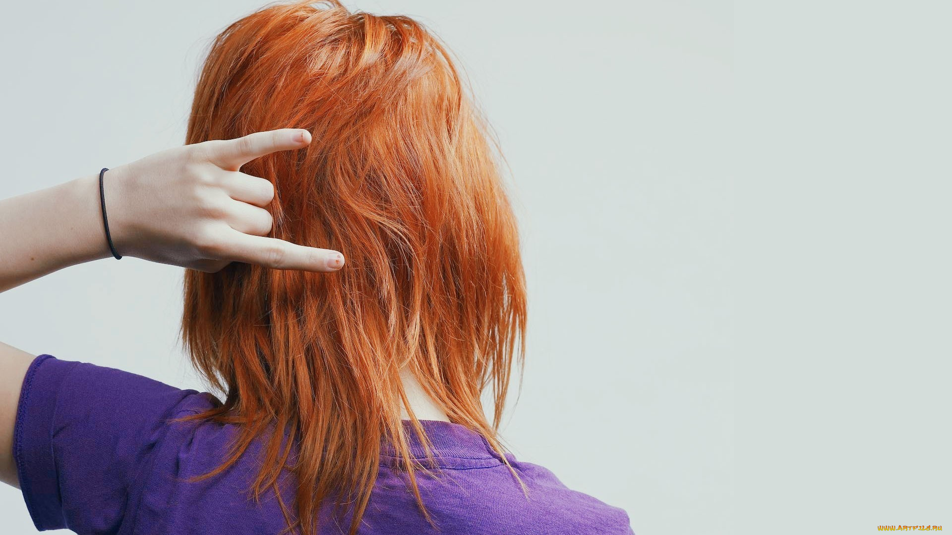 , , paramore, hayley, williams, 